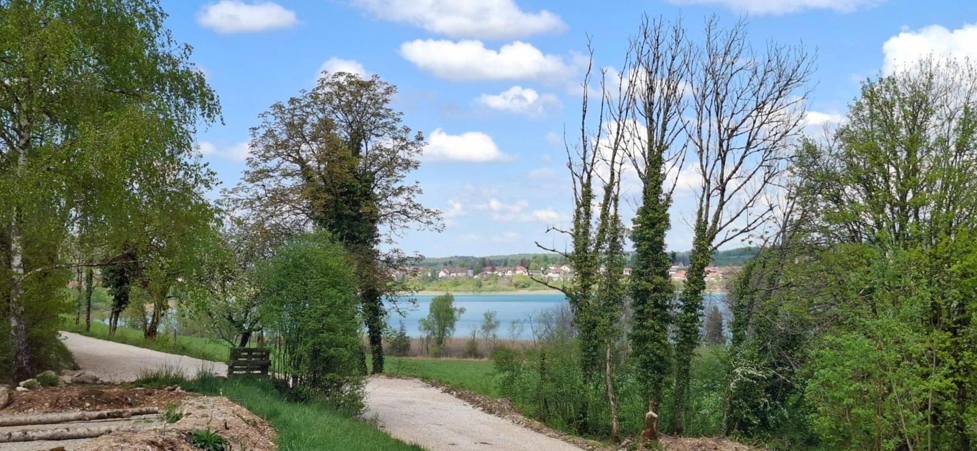 Gites Aux Granges Du Vilaret Clairvaux-les-Lacs Exterior photo